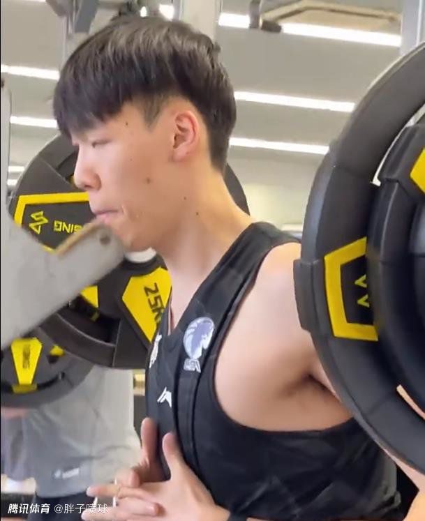 欧美一级成人