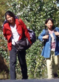 成年在线视频免费视频观看