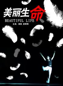 av中文在线资源