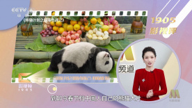 美女搞黄浪潮